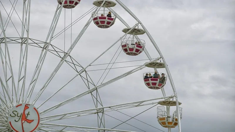 Три знака зодиака преодолеют свои главные жизненные трудности в 2026 году – астрологи