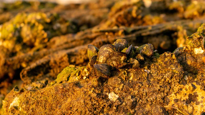 Финансисты выяснили, сколько золота на планете осталось добыть