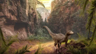 палеонтологи заявили о новых следах динозавров, найденных в Китае, фото - Новости Zakon.kz от 07.12.2025 19:41