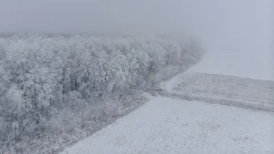 зима, фото - Новости Zakon.kz от 07.12.2025 17:54