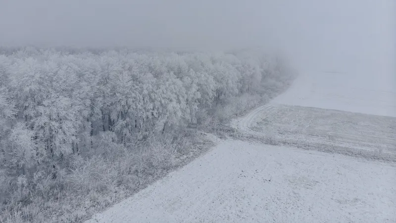 Метель и туман: в Астане, Алматы и регионах объявили штормовое предупреждение