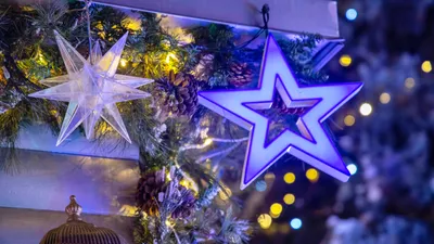 Новый год, новогодний праздник, празднование, празднования, новогодние каникулы, зимние каникулы, новогодние выходные, новогодние праздники, новогодние украшения, новогоднее оформление города, новогодние декорации, новогодняя елка, фото - Новости Zakon.kz от 12.12.2025 19:51