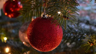 ЗКО, акимат, украшение , фото - Новости Zakon.kz от 08.12.2025 16:56