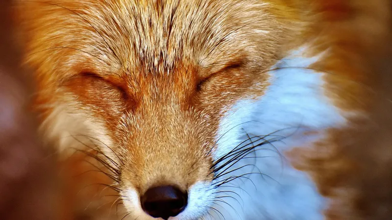 Астрологи перечислили пять знаков зодиака, которые на десять шагов впереди других