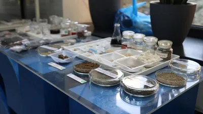 разработки ученые, наука, фото - Новости Zakon.kz от 09.12.2025 09:53