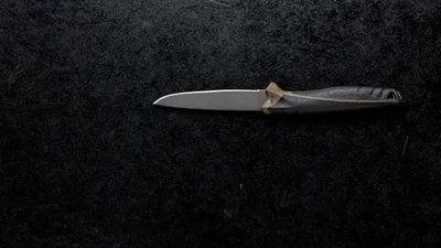 нож, фото - Новости Zakon.kz от 09.12.2025 20:22