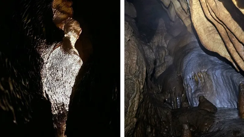 Новая российская пещера получила имя гигантского паука из Гарри Поттера