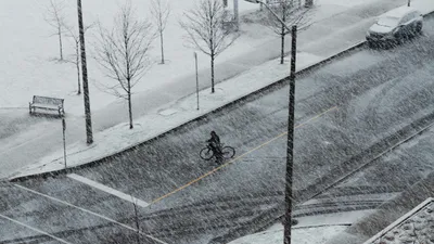 Снегопад, зима , фото - Новости Zakon.kz от 09.12.2025 15:30