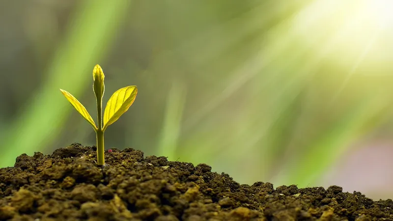 Зеленая трансформация ГМК: как сохранить конкурентоспособность и заботиться о природе