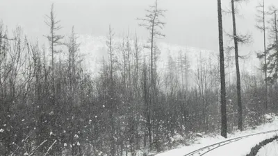 снегопад, фото - Новости Zakon.kz от 09.12.2025 18:20