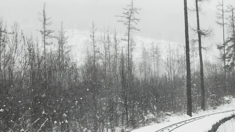 Сильный снег и ветер до 28 м/с: о непогоде в Алматы и регионах предупредили синоптики