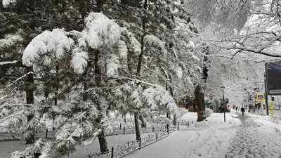 , фото - Новости Zakon.kz от 10.12.2025 17:34