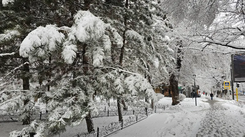 Морозы уходят: Казахстан ждет потепление до +8°С