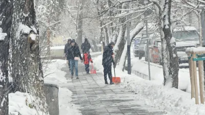 , фото - Новости Zakon.kz от 11.12.2025 14:29