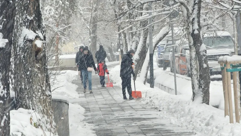 "Снег не трогать! И благодарите!": долгожданная зима в Алматы стала поводом для шуток