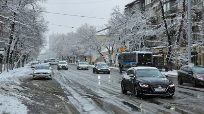 последствия снегопада в Алматы, фото - Новости Zakon.kz от 10.12.2025 16:28
