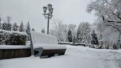 зима, снег, парк, скамейка, фото - Новости Zakon.kz от 10.12.2025 15:11