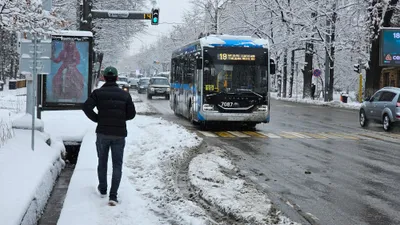 Город-сказка, город-каток: травматолог Алматы рассказал, как обезопасить себя в гололед