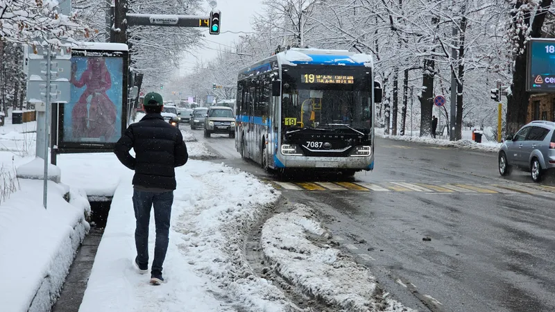 Город-сказка, город-каток: травматолог Алматы рассказал, как обезопасить себя в гололед