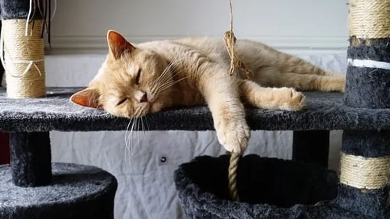 Гороскоп на 11 декабря: избегайте переутомления