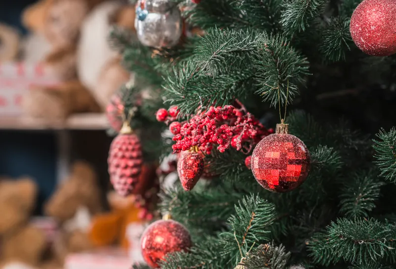 Плесень, инфекции и аллергия: какие опасности еще могут таиться в новогодней елке