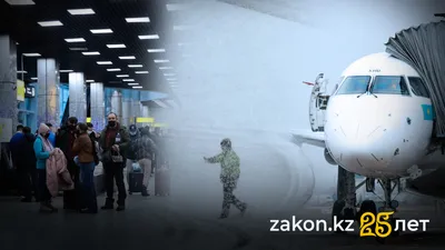 , фото - Новости Zakon.kz от 15.01.2026 16:54