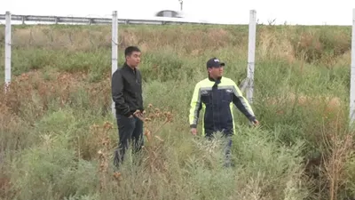 Мангистауская область, фото - Новости Zakon.kz от 11.12.2025 03:56