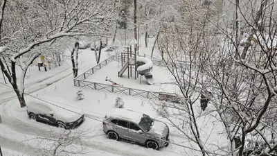 зима, снегопад, двор, деревья, детская площадка, машины, фото - Новости Zakon.kz от 10.12.2025 17:34