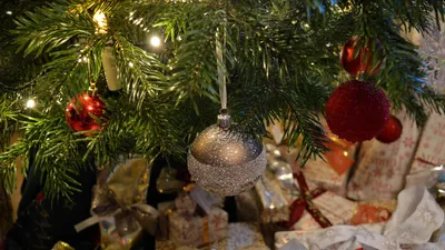 , фото - Новости Zakon.kz от 17.12.2025 11:50