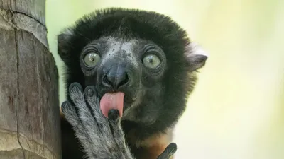 Конкурс фотографий 2025, фото - Новости Zakon.kz от 11.12.2025 04:33