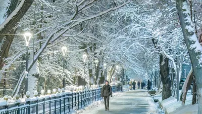 пешеход, дорога, фото - Новости Zakon.kz от 11.12.2025 17:59