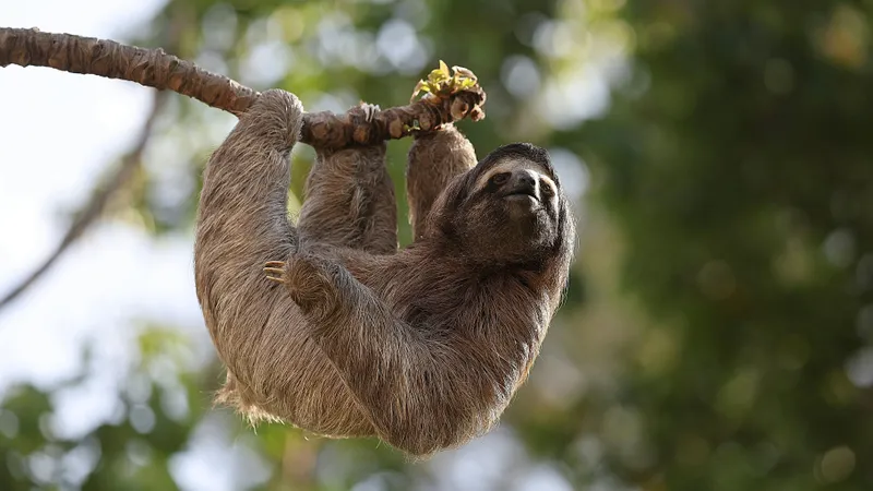 Астрологи назвали знаки зодиака, которым стоит "замедлиться"