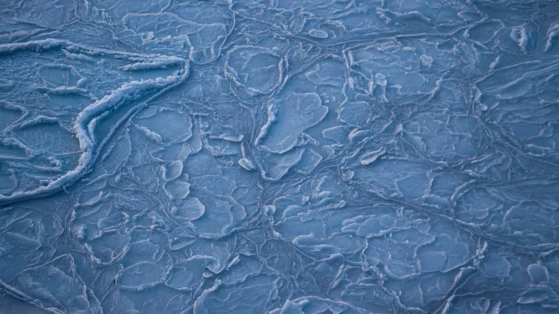 Ледяной джут накрыл степь в Мангистау: экологи бьют тревогу