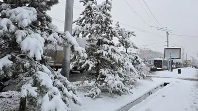 осадки в декабре, фото - Новости Zakon.kz от 13.12.2025 08:51