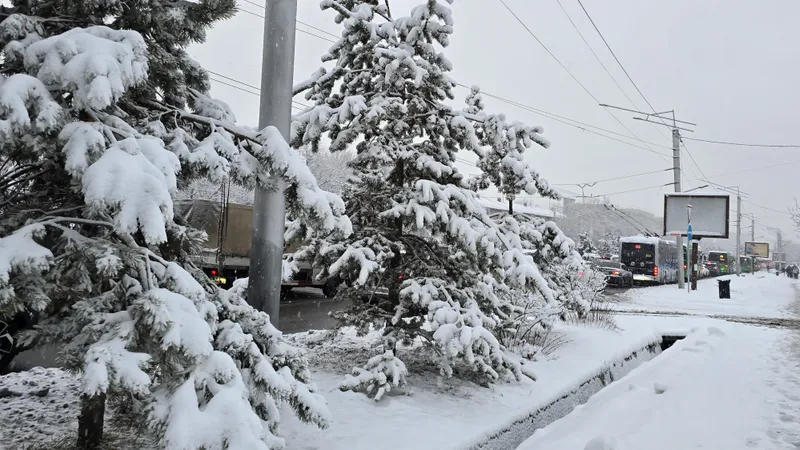 В Алматы снова придет снег и похолодание: прогноз погоды на неделю