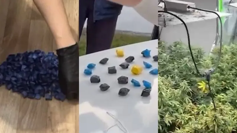 Почти 30 иностранцев осудили в Алматы за наркопреступления с начала года