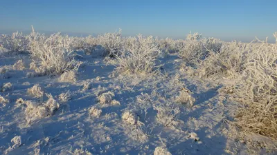 , фото - Новости Zakon.kz от 14.12.2025 12:06