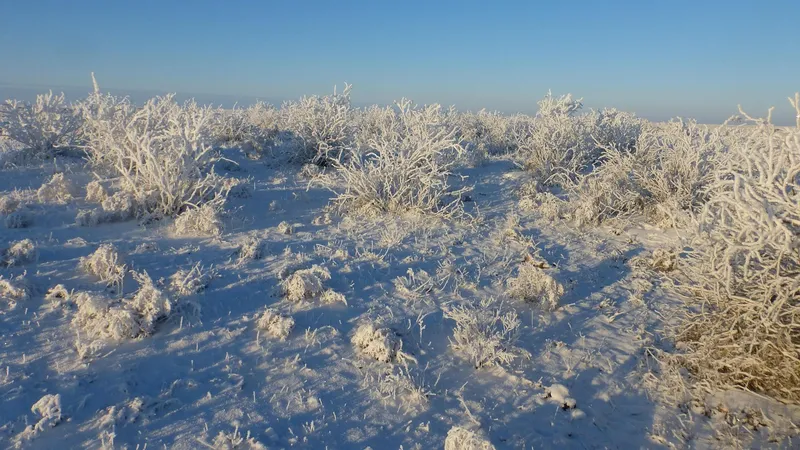 Мужчина провел ночь в степи Северного Казахстана из-за поломки авто
