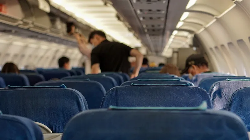 Крыса устроила переполох на борту рейса KLM