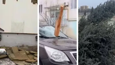 последствия ветра, фото - Новости Zakon.kz от 14.12.2025 12:41