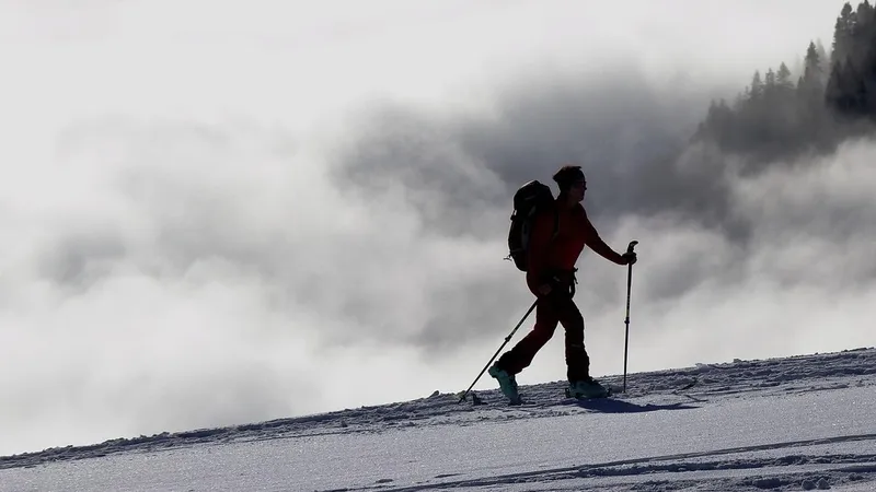 Гороскоп на 15 декабря: уверенно двигайтесь вперед