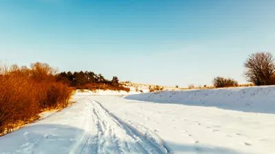 , фото - Новости Zakon.kz от 16.12.2025 17:05