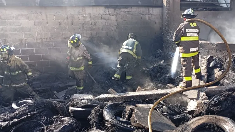 Бизнес-джет с людьми на борту разбился в Мексике