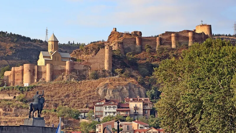 Евросоюз перестанет оказывать финансовую поддержку Грузии