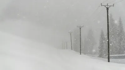 зима, снег, метель, фото - Новости Zakon.kz от 17.12.2025 17:59