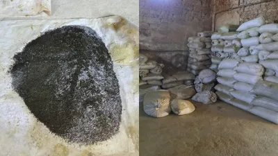 Мешки с насваем в помещении, фото - Новости Zakon.kz от 18.12.2025 19:41