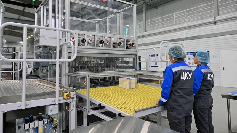 В Семее открыт современный цех по производству картонной упаковки