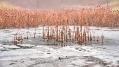 пропавшего охотника нашли мертвым, фото - Новости Zakon.kz от 19.12.2025 22:45