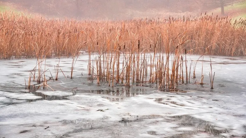 После четырех дней поиска охотника нашли мертвым в Атырауской области