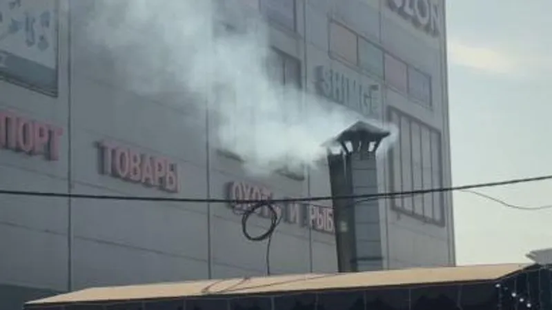 В Алматы ужесточили надзор за заведениями, загрязняющими воздух